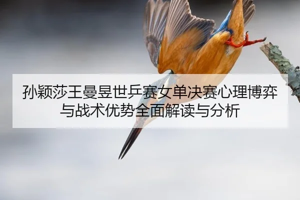 孙颖莎王曼昱世乒赛女单决赛心理博弈与战术优势全面解读与分析