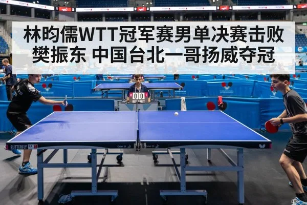 林昀儒WTT冠军赛男单决赛击败樊振东 中国台北一哥扬威夺冠