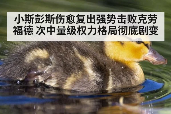 小斯彭斯伤愈复出强势击败克劳福德 次中量级权力格局彻底剧变